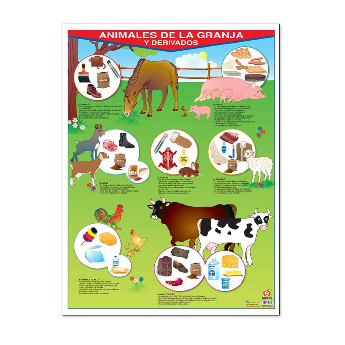 Póster Animales de la Granja y sus Derivados