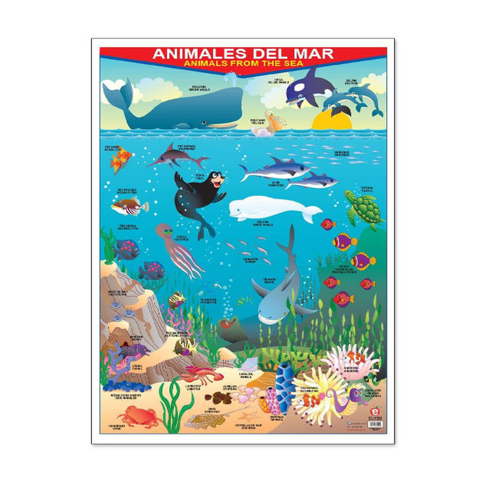 Póster Animales del Mar