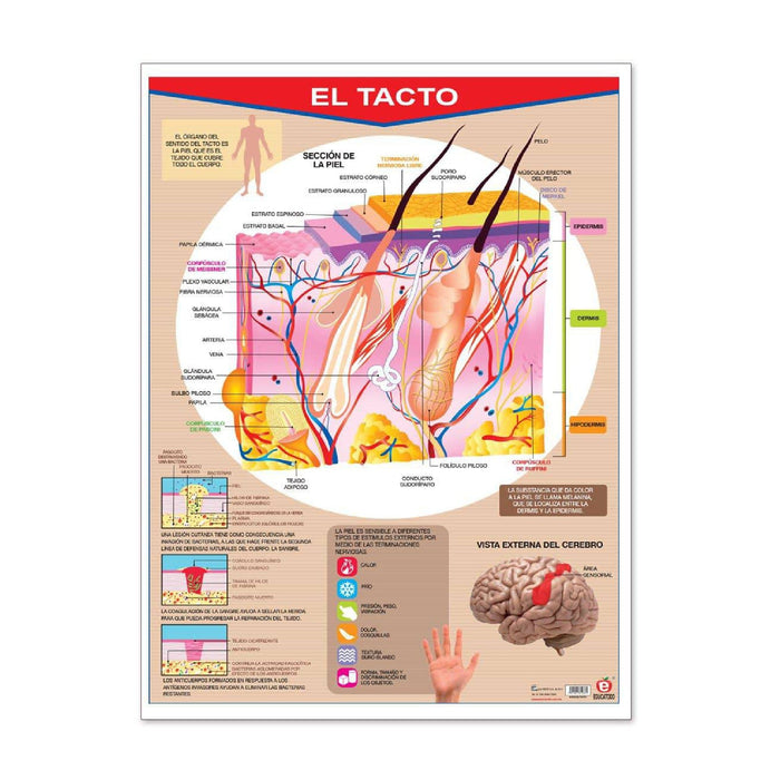 Póster El Tacto