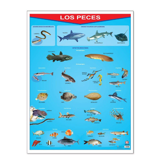 Póster Los Peces